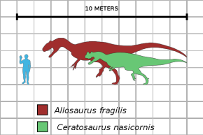 Ceratosaurus scale