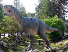 Allosaurus Model