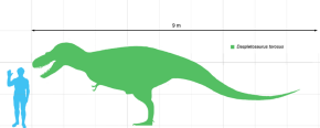 Daspletosaurus scale image