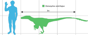 Deinonychus scale