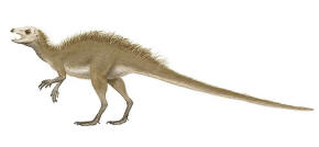 Heterodontosaur fruitadens