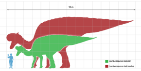 Lambeosaurus scale