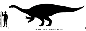 Plateosaurus human scale