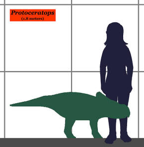 Protoceratops scale