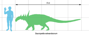 Sauropelta scale