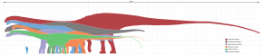sauropod scale