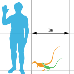 Sinosauropteryx scale