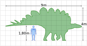 Stegosaurus scale