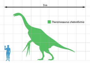 Therizinosaurus scale