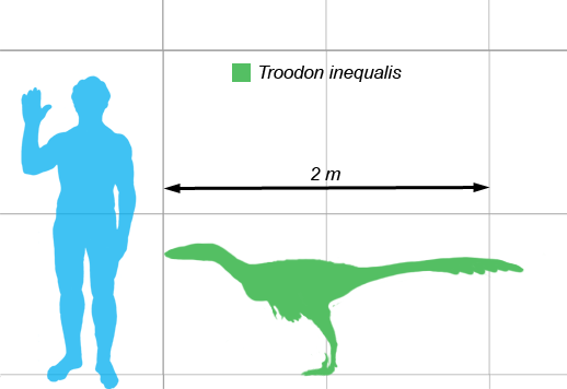 Troodon Scale