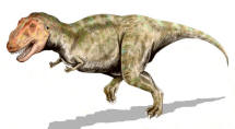 Artist Impression Tyrannosaurus Rex