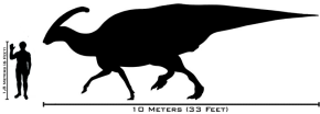Parasaurolophus scale