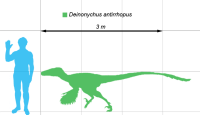 Deinonychus Scale